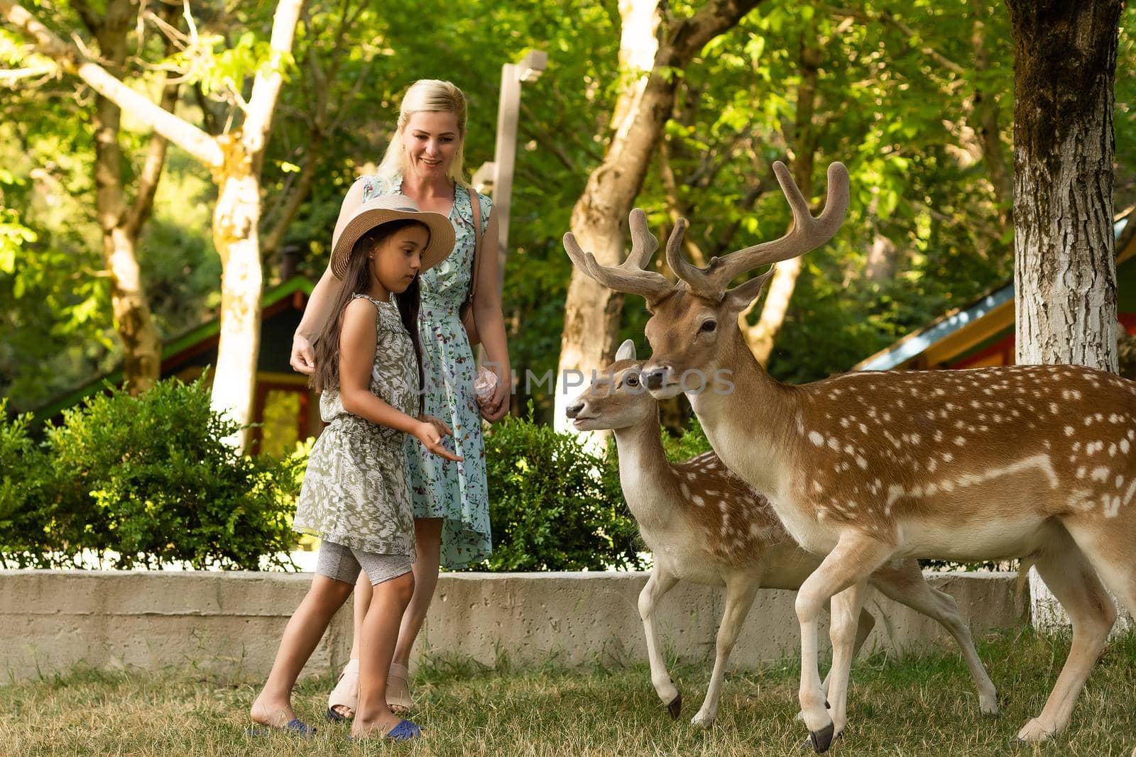 happy little girl with deer. family weekend by Andelov13