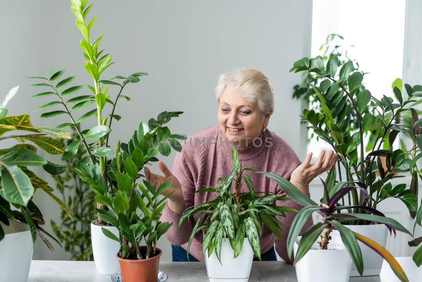 people, housework and plants care concept - senior woman watering houseplants at home by Andelov13