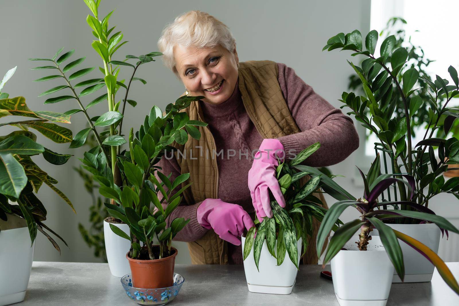 people, housework and plants care concept - senior woman watering houseplants at home.