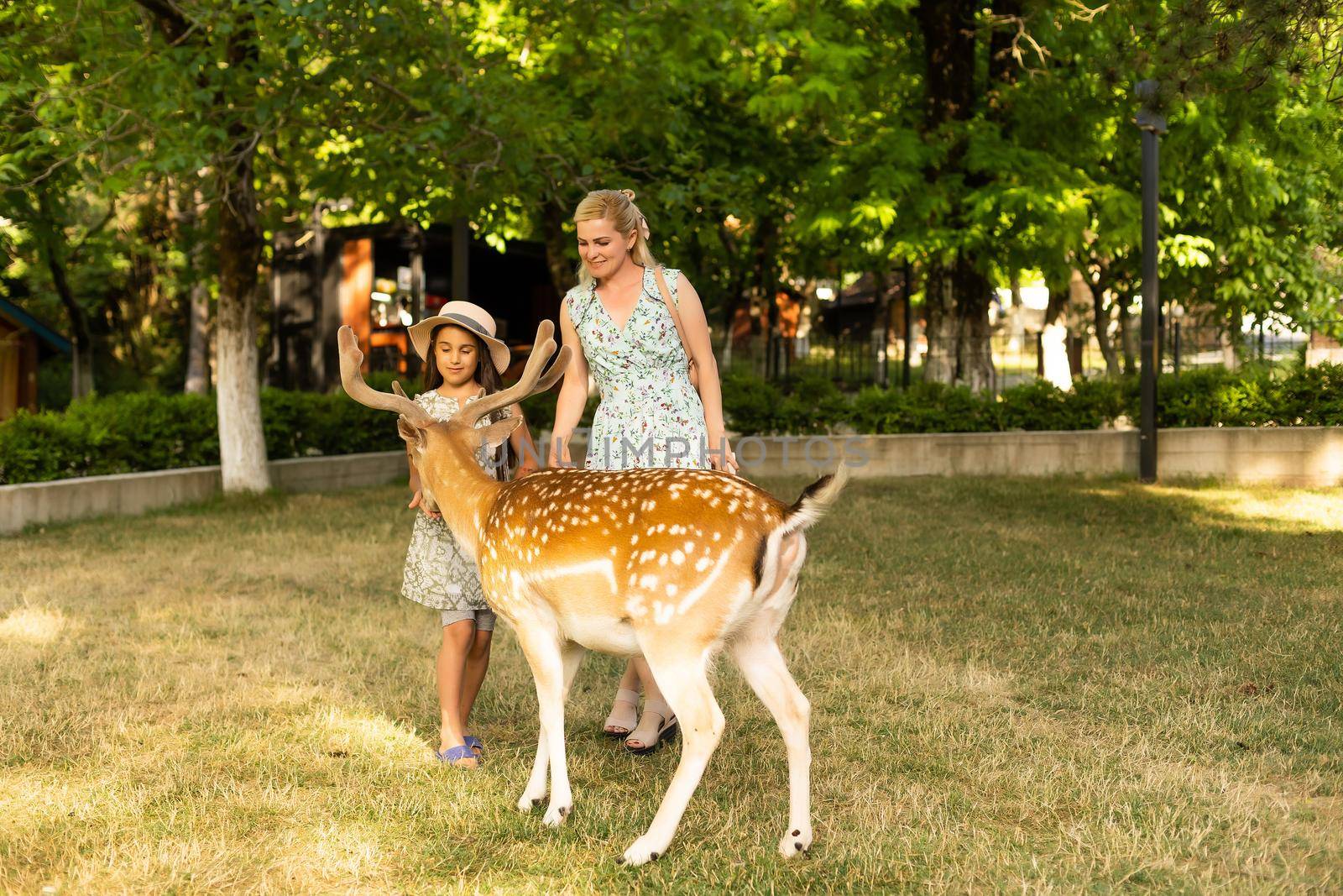 Little girl is standing with a reindeer.