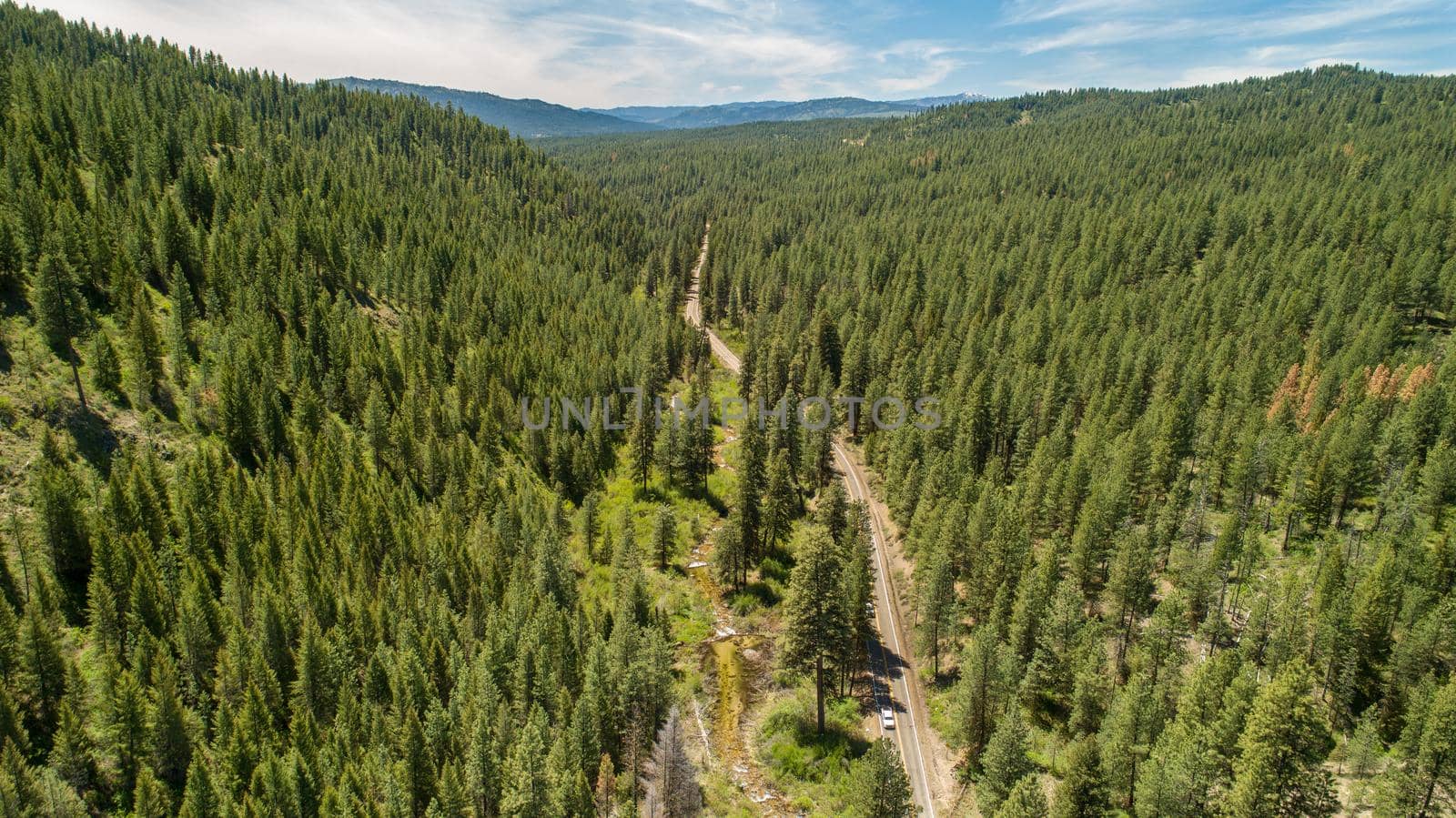 aerial view of a road going through the trees