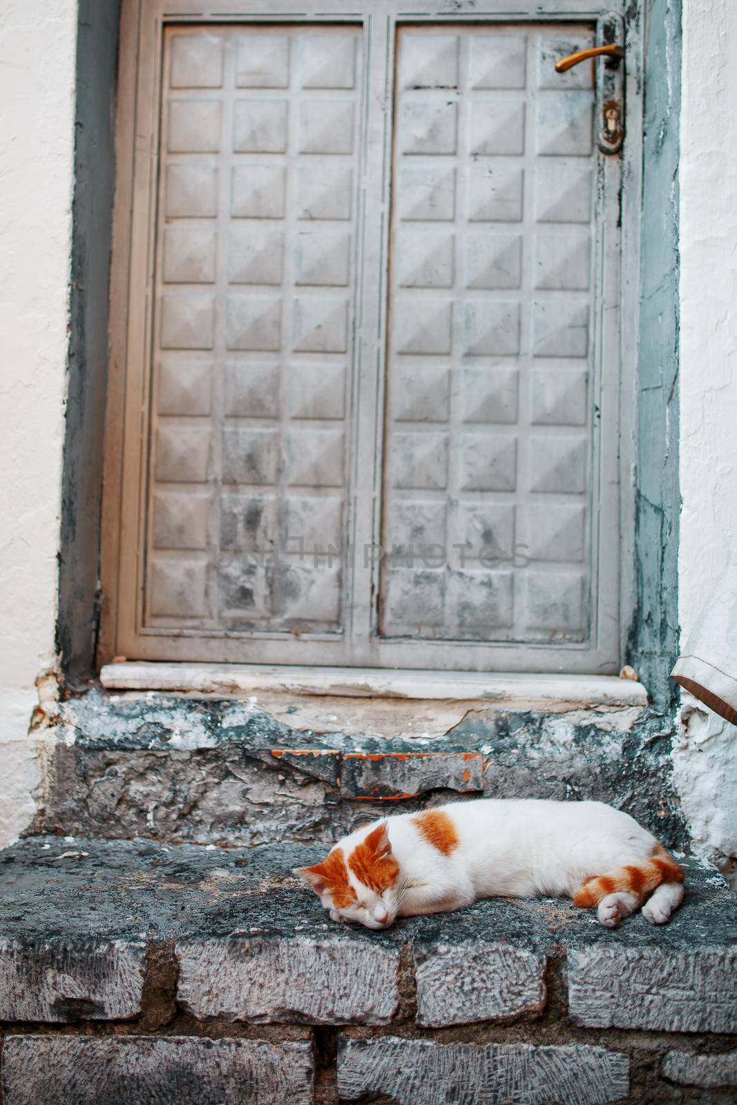 A white cat with orange spots sleeps on the stone threshold of an old house. by AlexGrec