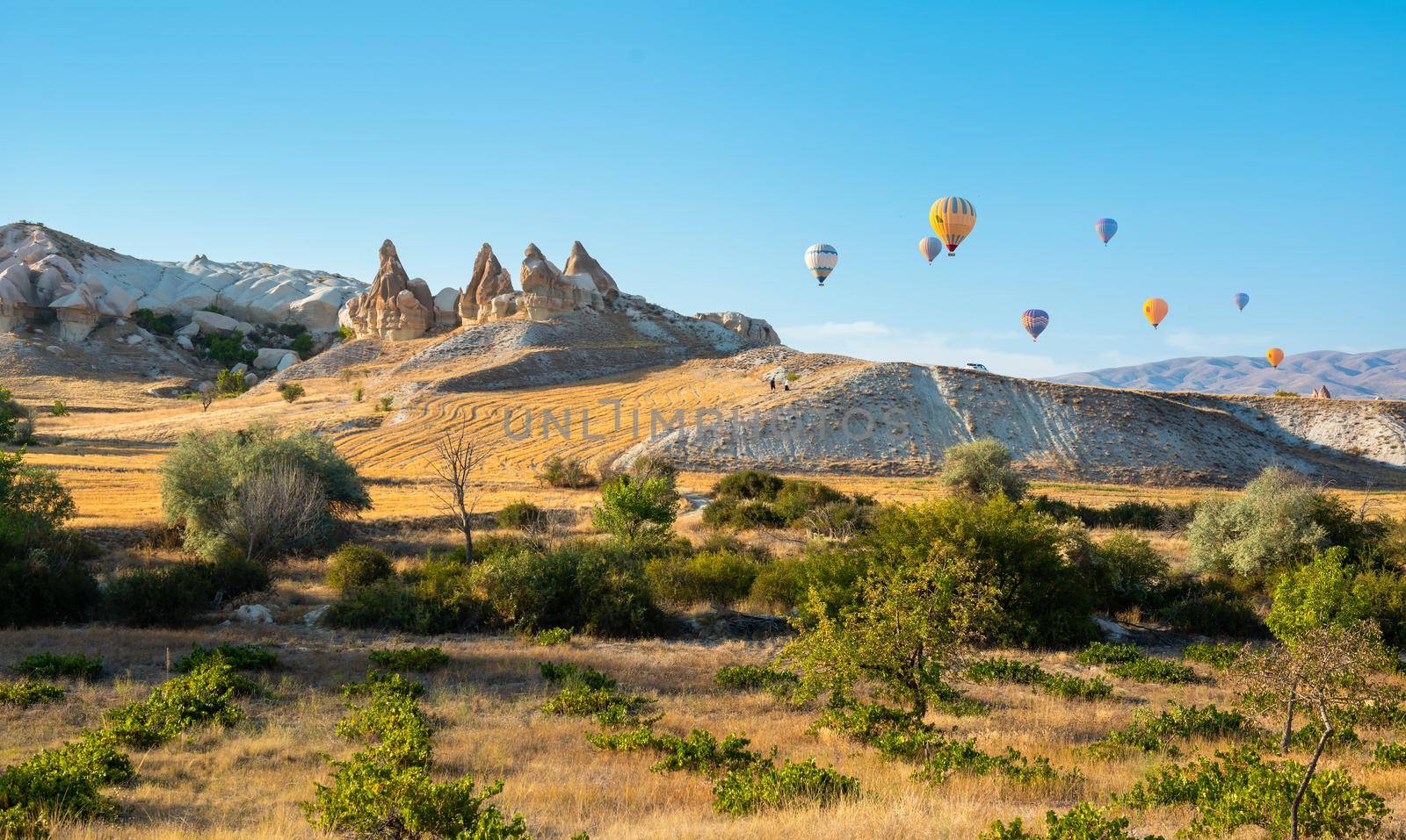 Valley with hot air balloons by Givaga