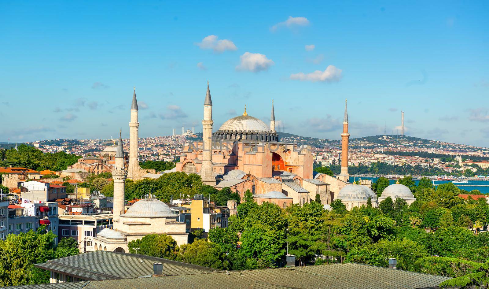 Hagia Sophia in summer Istanbul at sunny day, Turkey