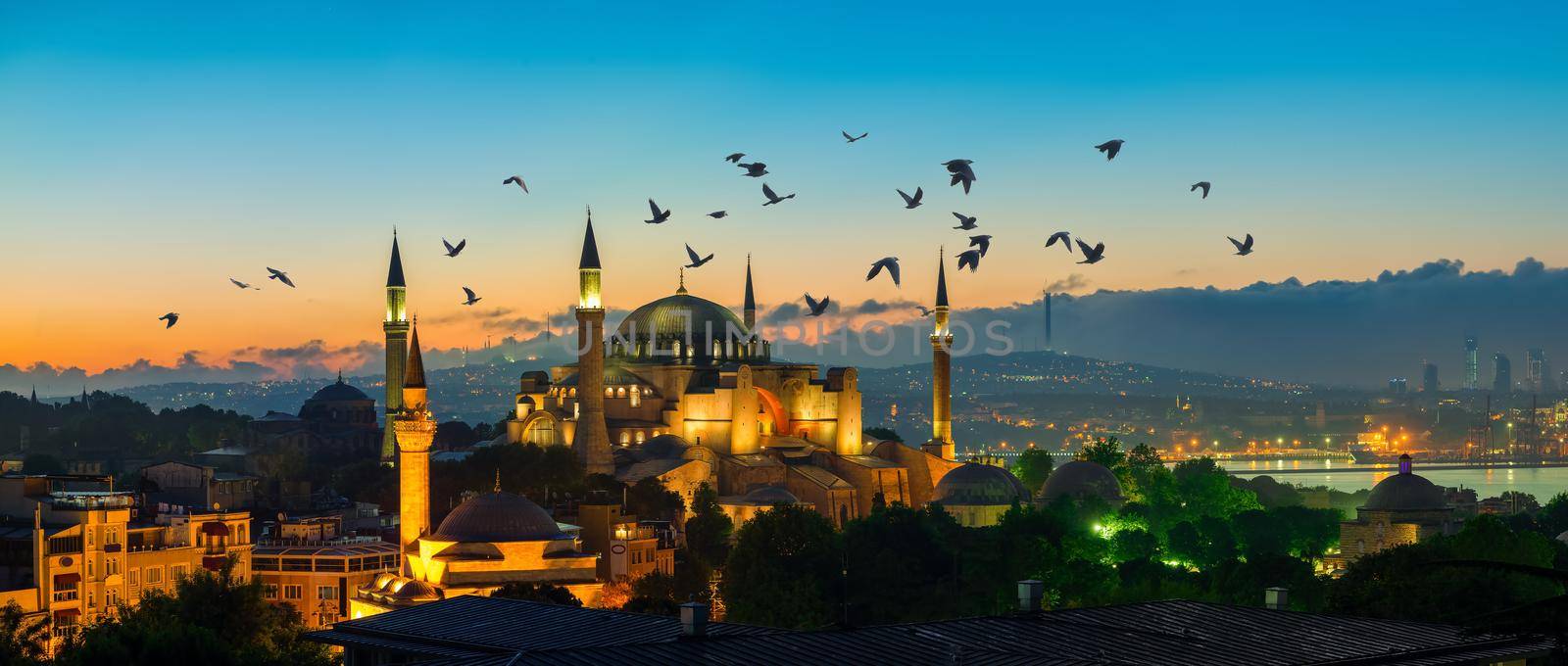 Flock of birds over mosque by Givaga