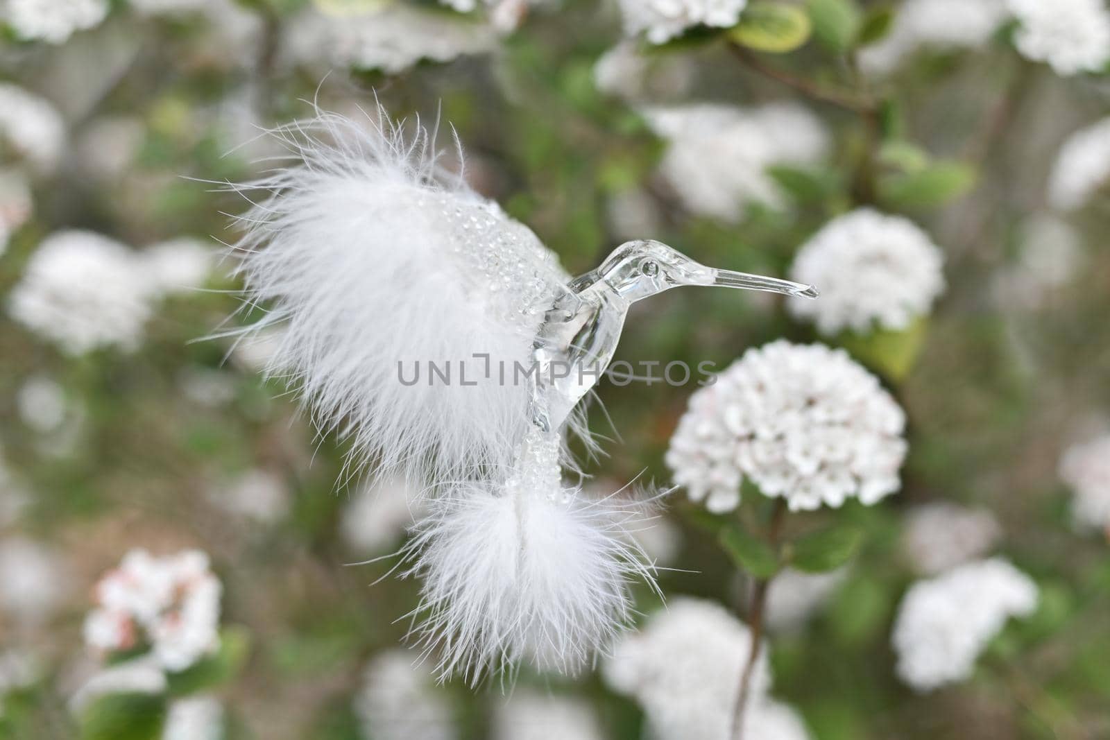 A hummingbird bird collects nectar in spring by Godi