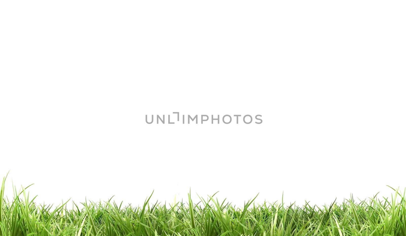 Fresh green grass (landscape ) | white background