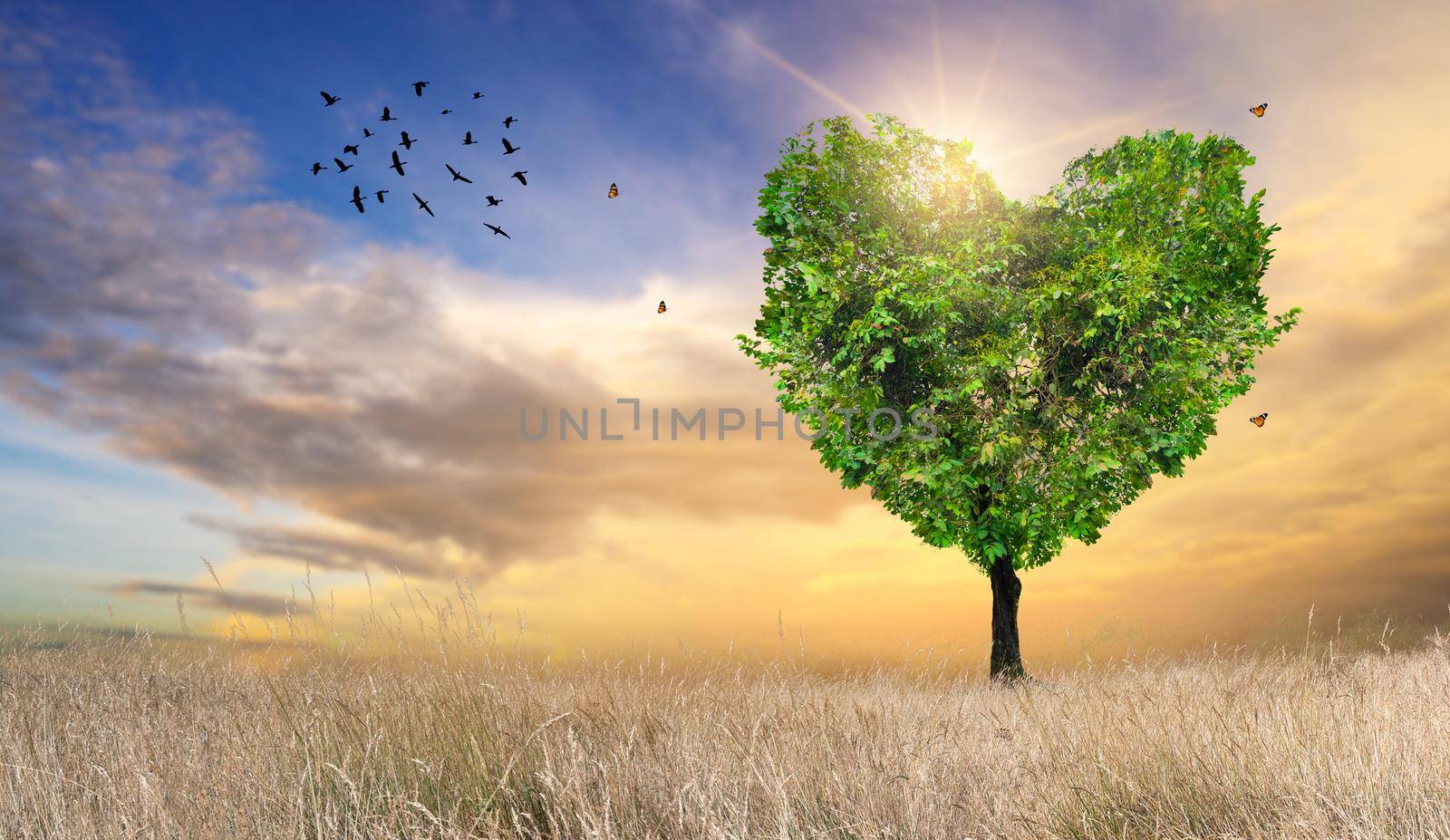 Heart Tree Love For Nature Landscape