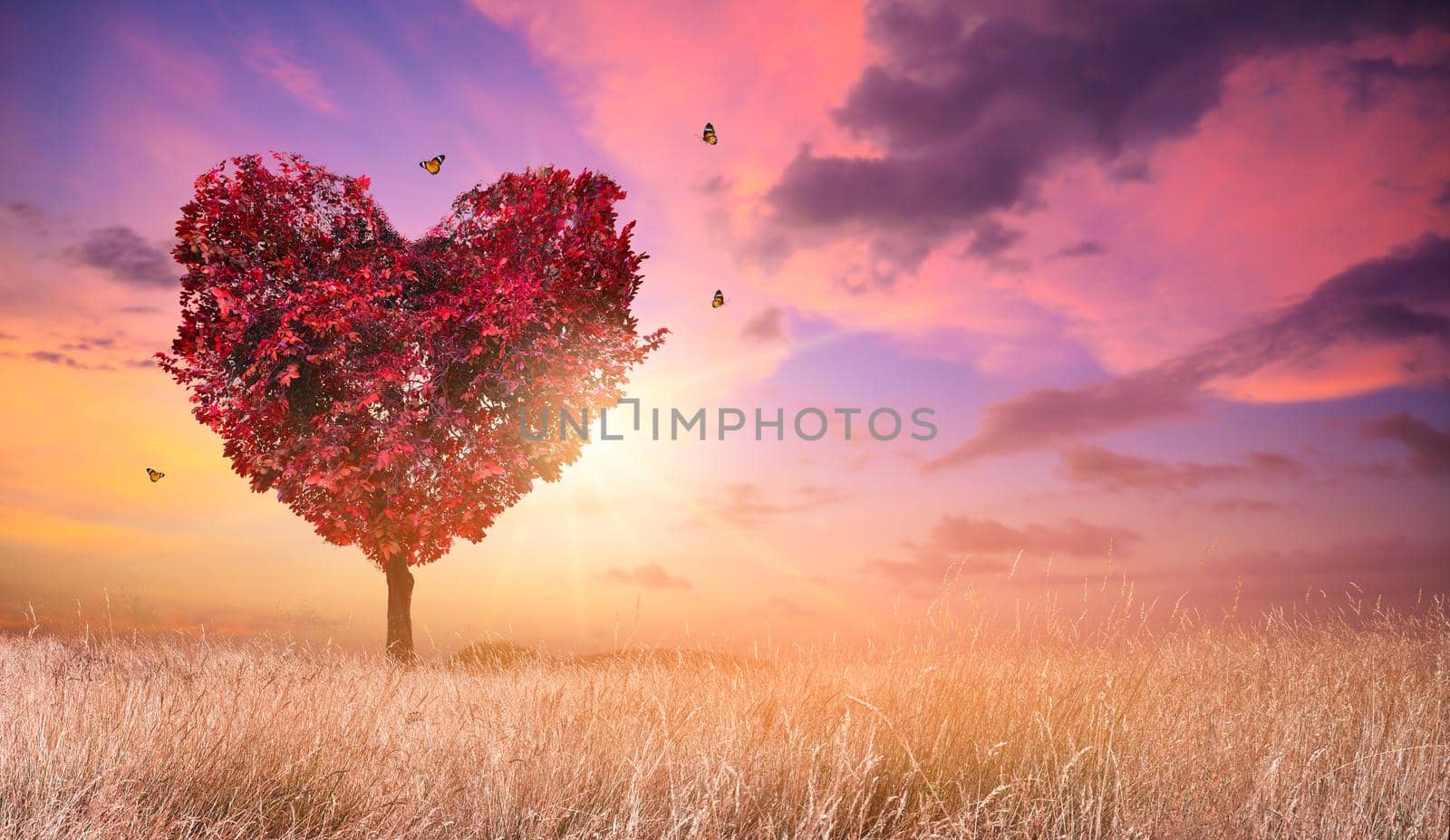 Heart Tree Love For Nature Red Landscape At Sunset