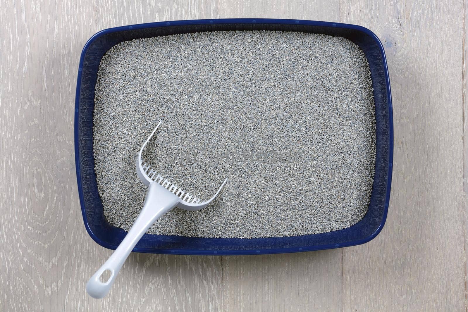 Top view of a blue cat litter tray and scoop by VivacityImages