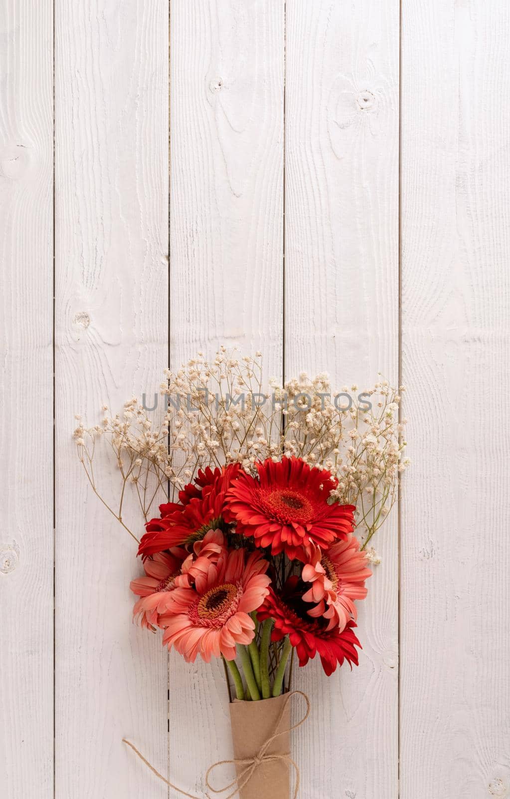 Red gerbera daisy flowers on white wooden table by Desperada