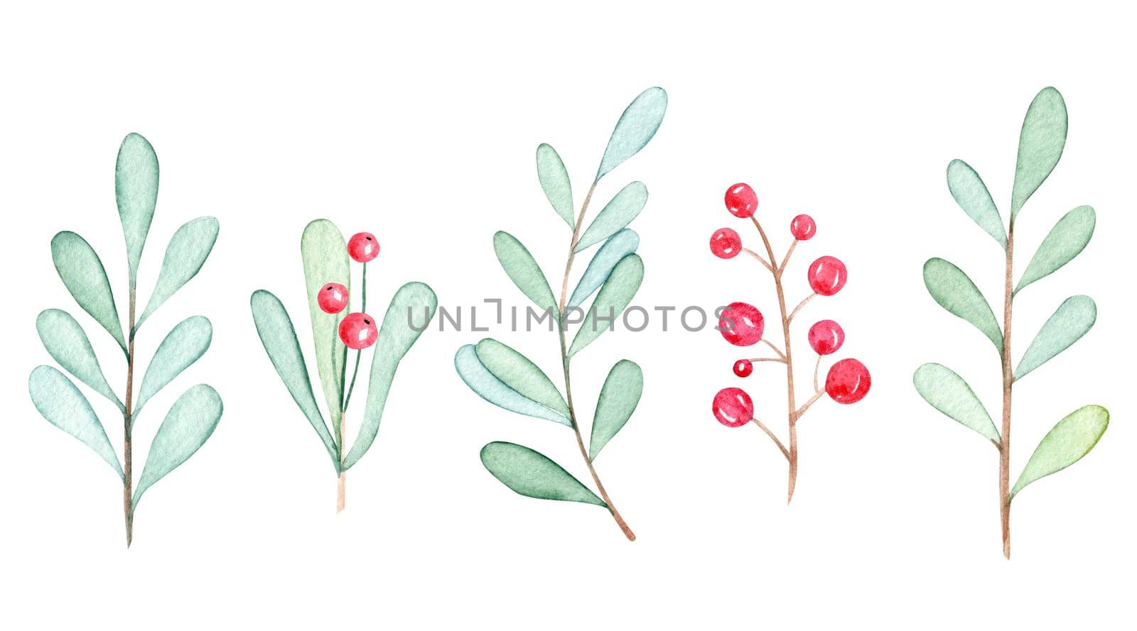 Watercolor mistletoe branches set isolated on white background. Winter greenery and red berries collection hand drawn illustrations