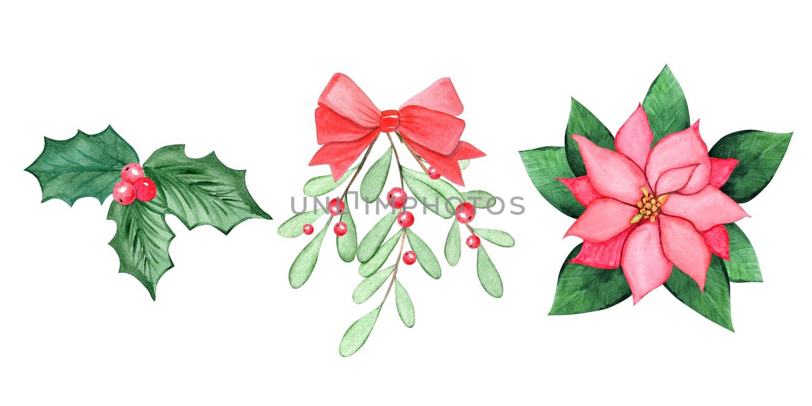 watercolor christmas plant decoration isolated on white background. Holly , mistletoe and poinsettia hand drawn illustrations