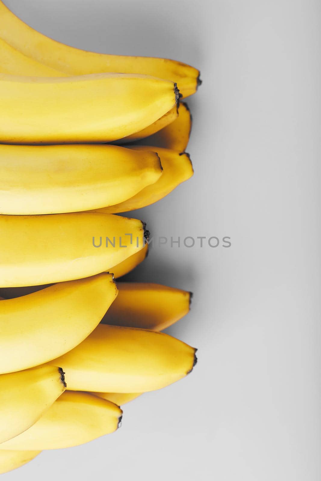 Fresh bunch of yellow bananas isolated on a Gray background. Minimalistic concept. Free space Trendy colors of 2021