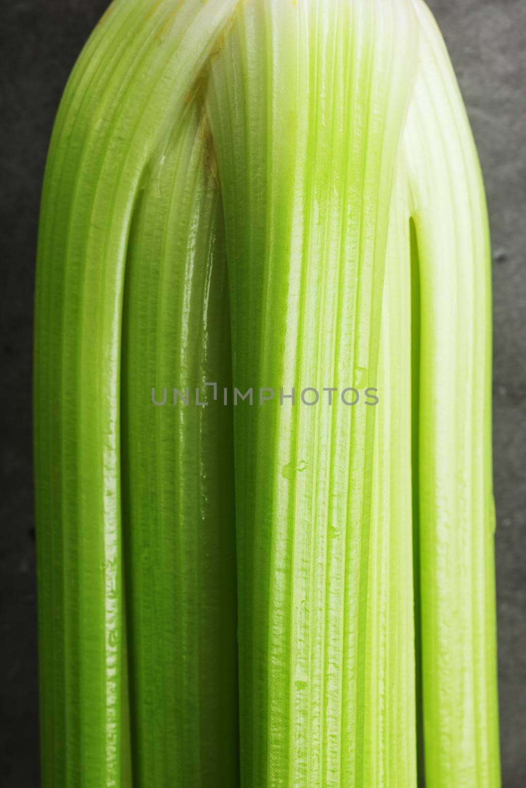 Green stalks of celery close-up in full screen. Macro, background