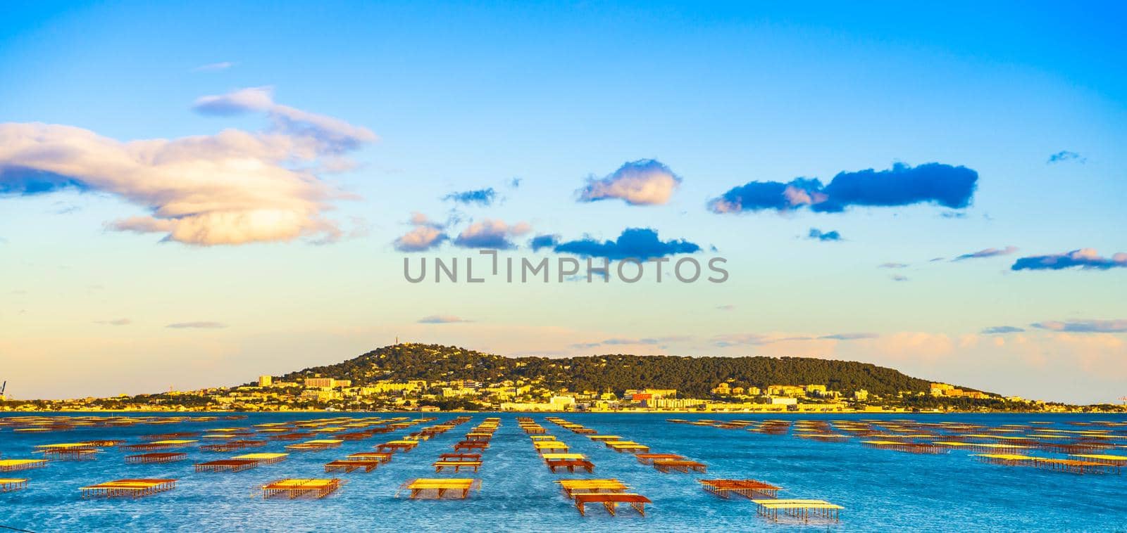 Mont Saint Clair and the Thau pond with its oyster tables in Hérault, Occitanie, France by Frederic