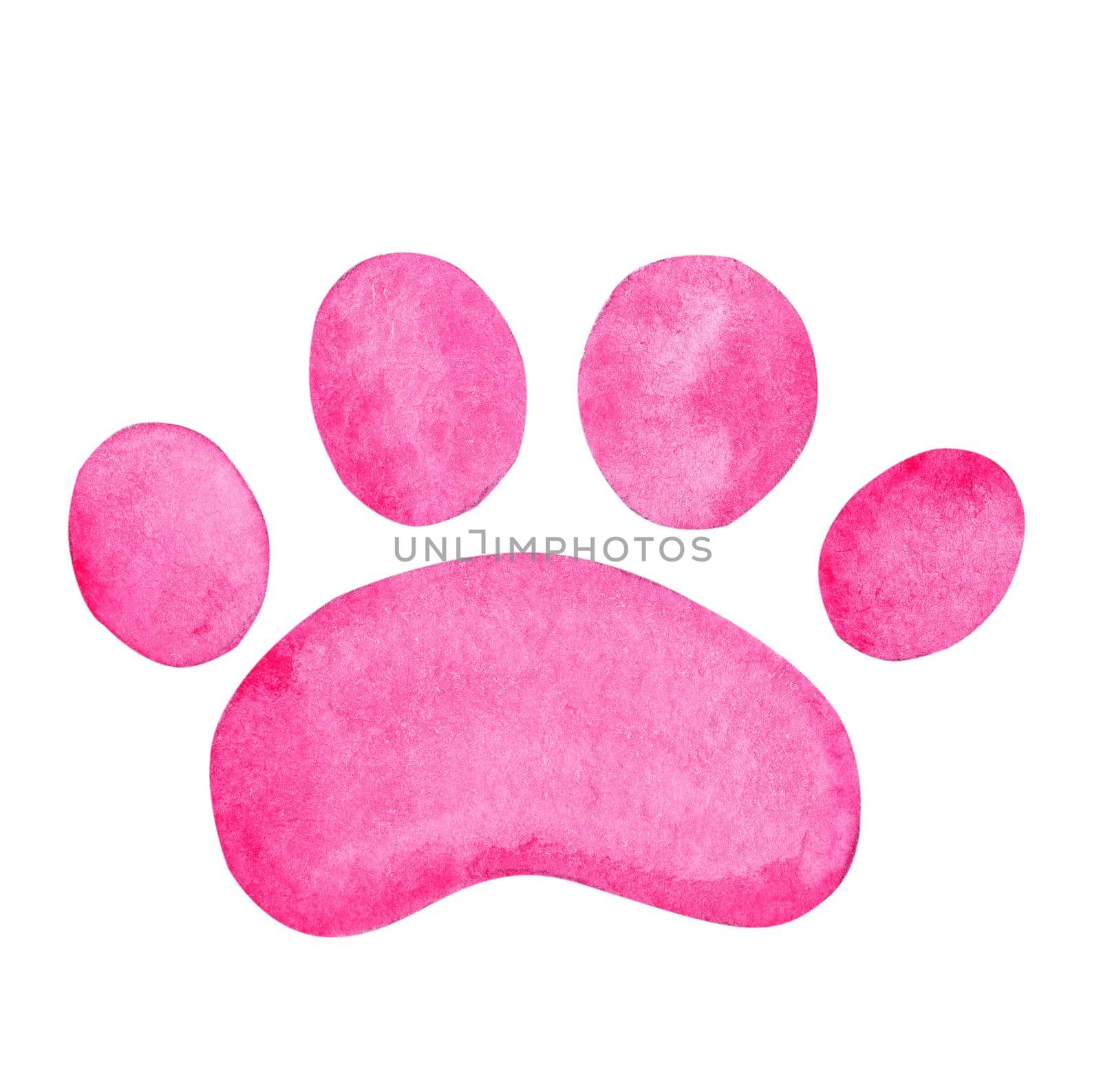 Watercolor pink paw print isolated on white by dreamloud