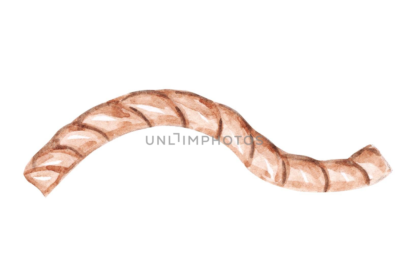 Watercolor brown rope isolated on white background by dreamloud