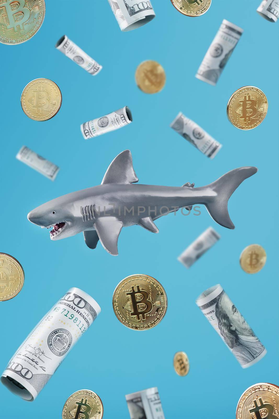 A toothy shark is hunting for money around dollars and bitcoins on a blue background. Conceptual Metaphorical image of dangerous business sharks