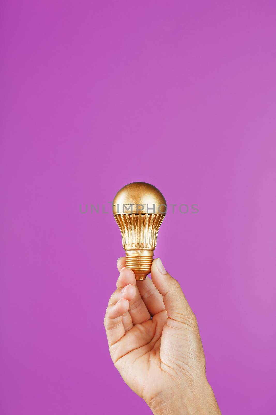 Gold light bulb in a female hand on a pink background, as a concept of ideas and help by AlexGrec