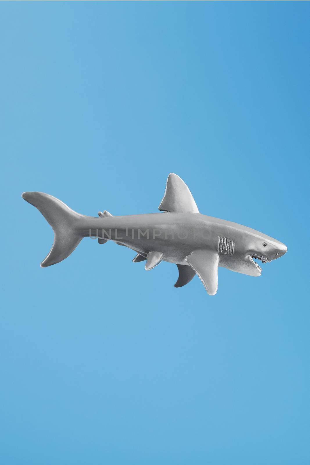 Shark toy on a blue background with free space. by AlexGrec