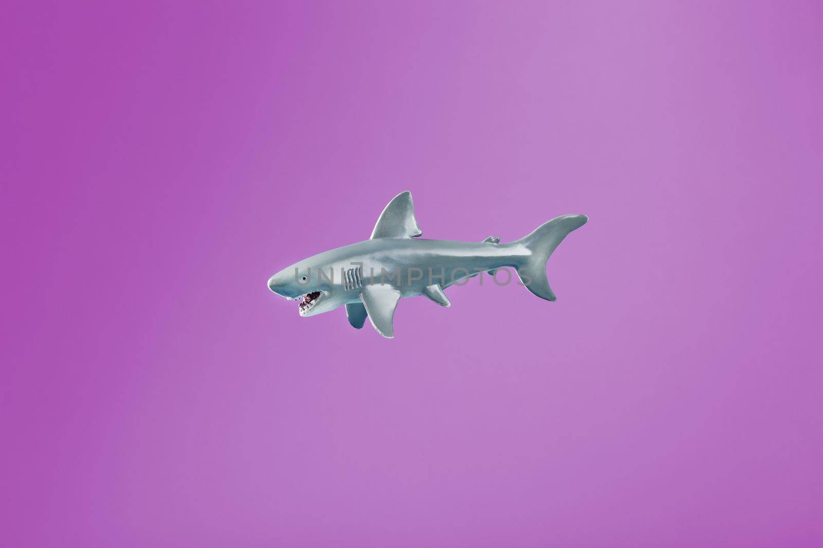 Toothy shark toy on a pink background with free space. by AlexGrec