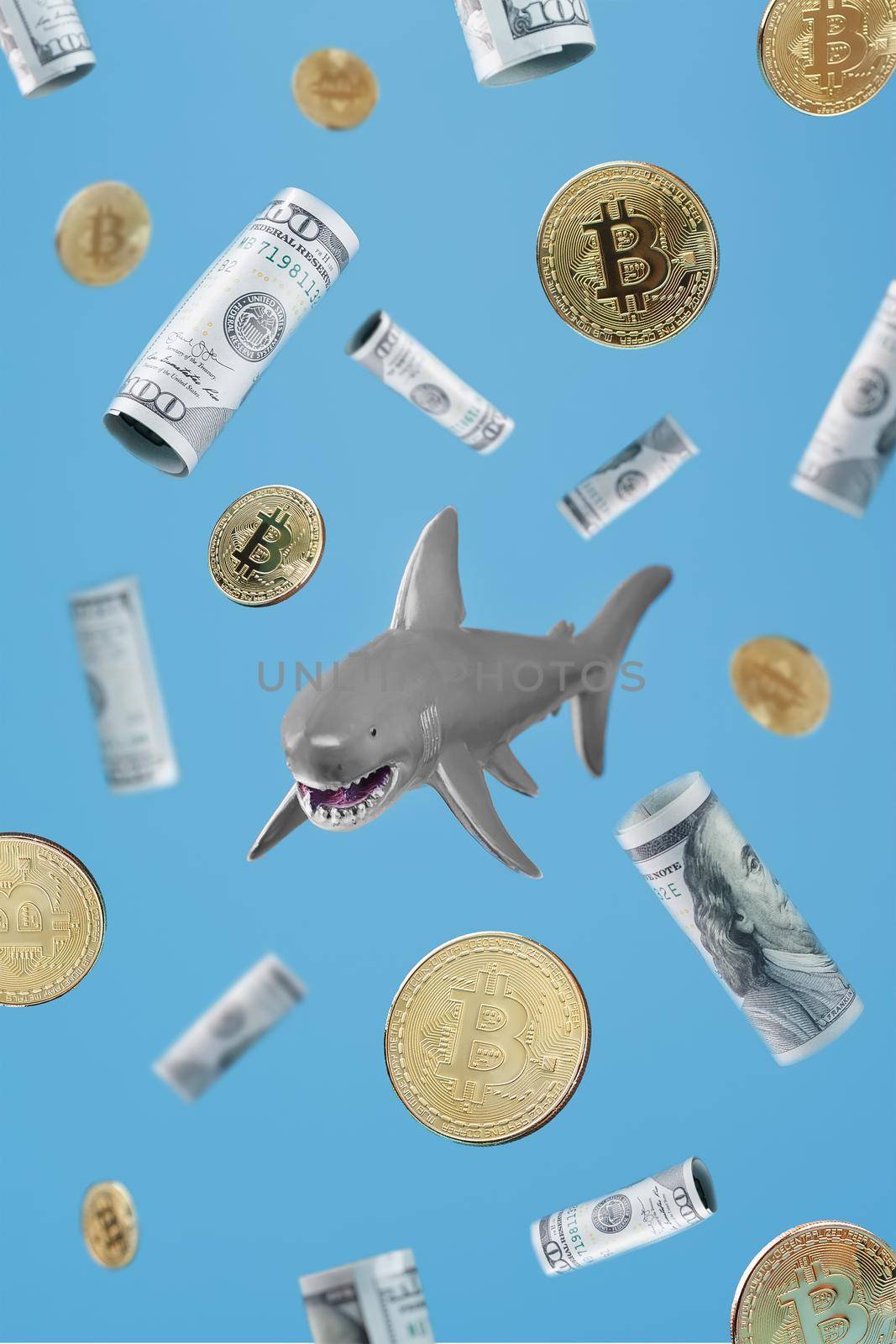 A shark swims around gold bitcoins and dollars on a blue background. Conceptual Metaphorical image of dangerous business sharks