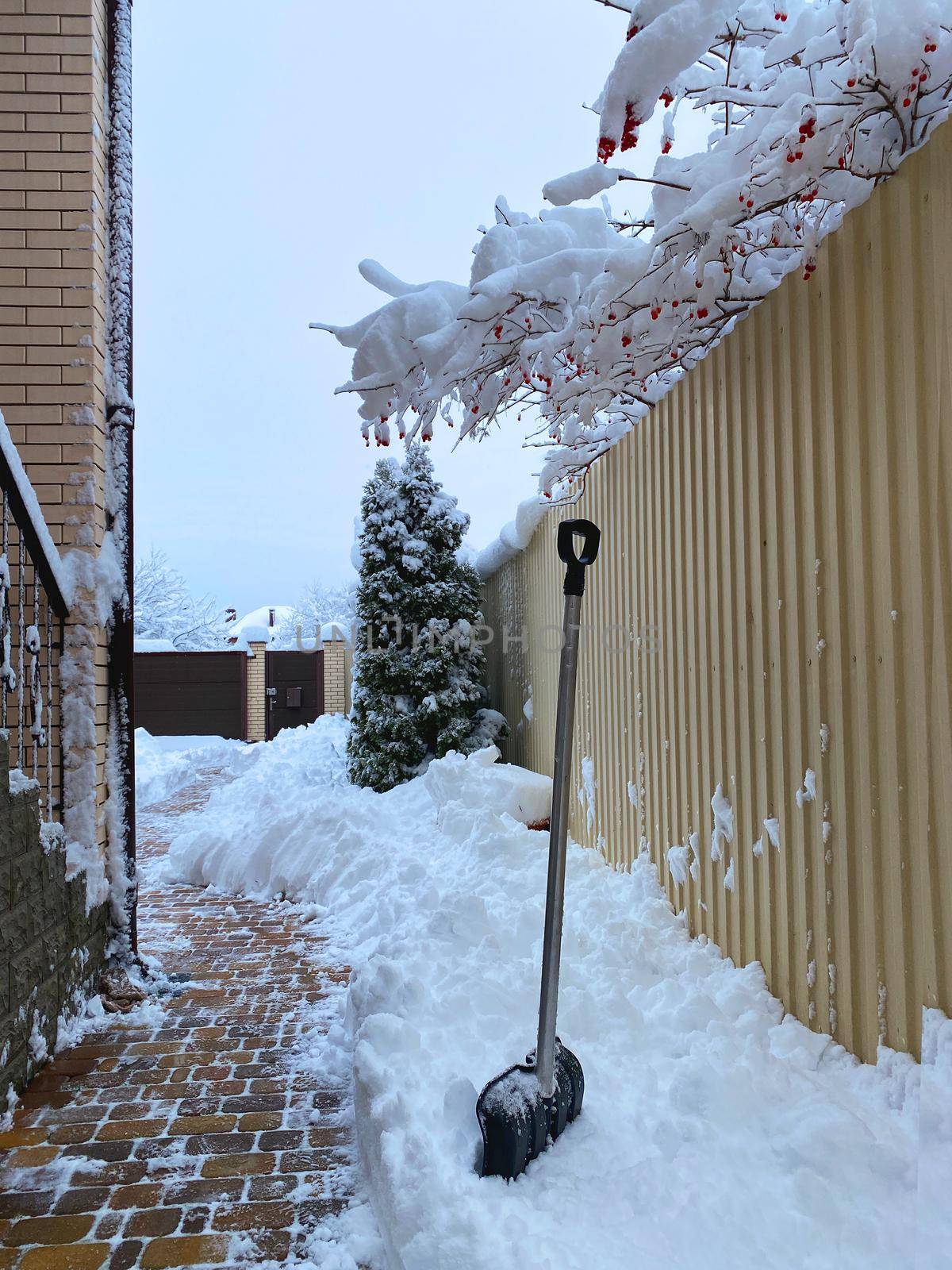 Shoveling Snow from the sidewalk in the courtyard of the house: a shovel in a snowdrift