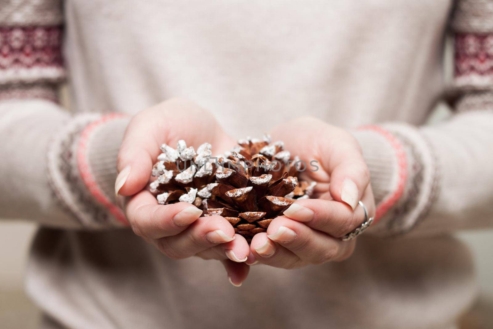 Woman in gray winter sweater holding pinecones in hands 