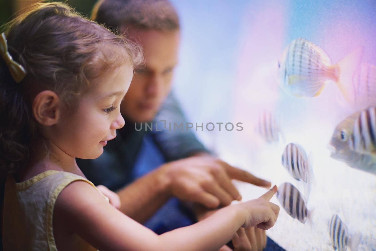 Shot of a father taking his little daughter on an outing to the aquarium