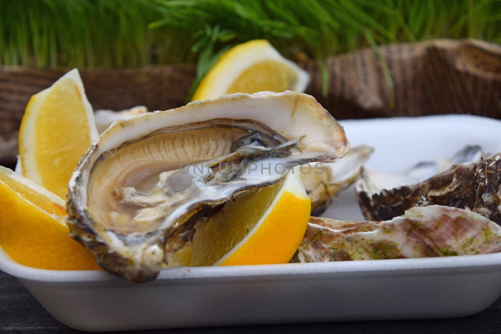 Close up portion of fresh open raw juicy oysters with lemon wedges on white plastic tray on a table, high angle view