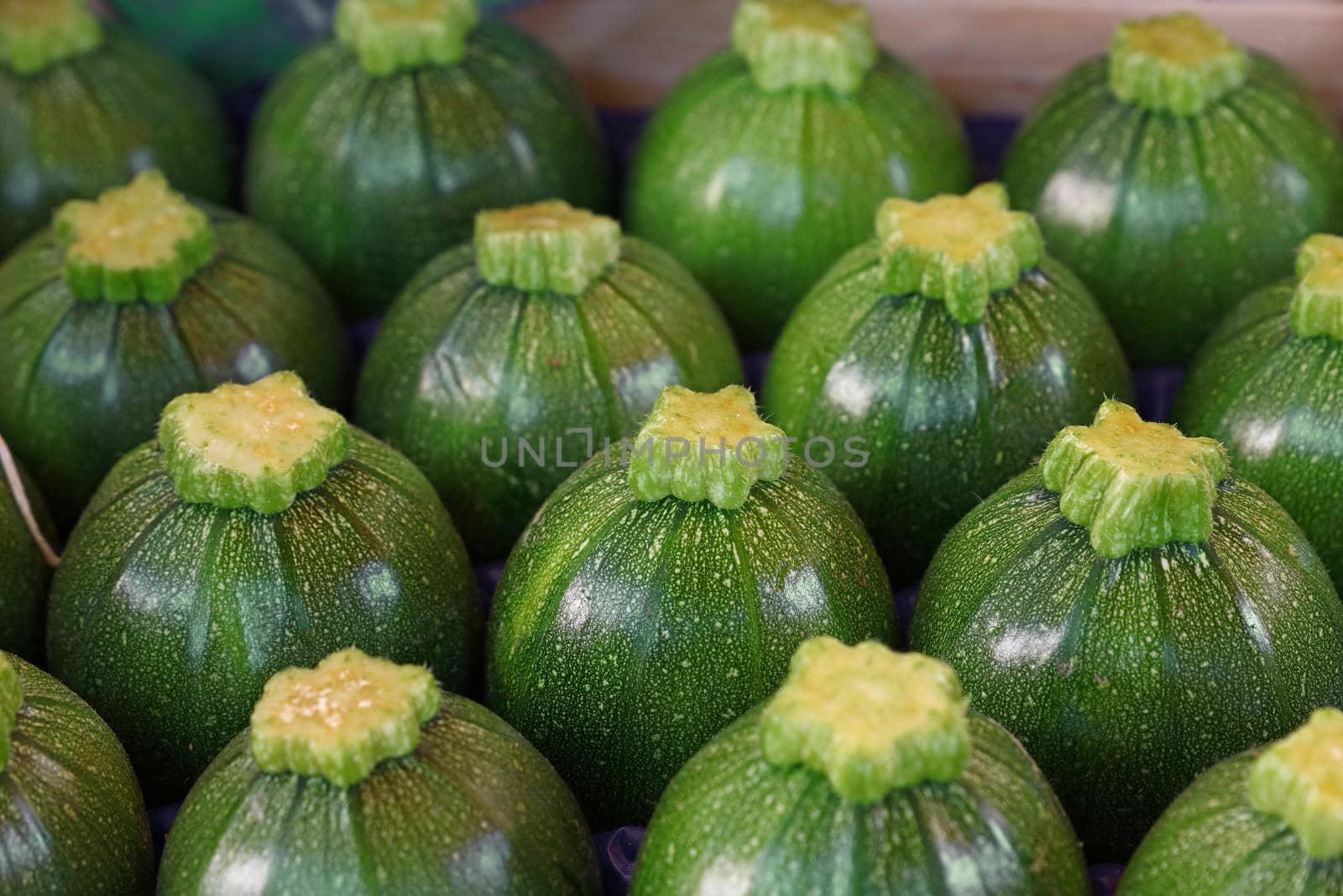 Close up fresh new green baby round zucchini in a row in box on retail display of farmers market, high angle view