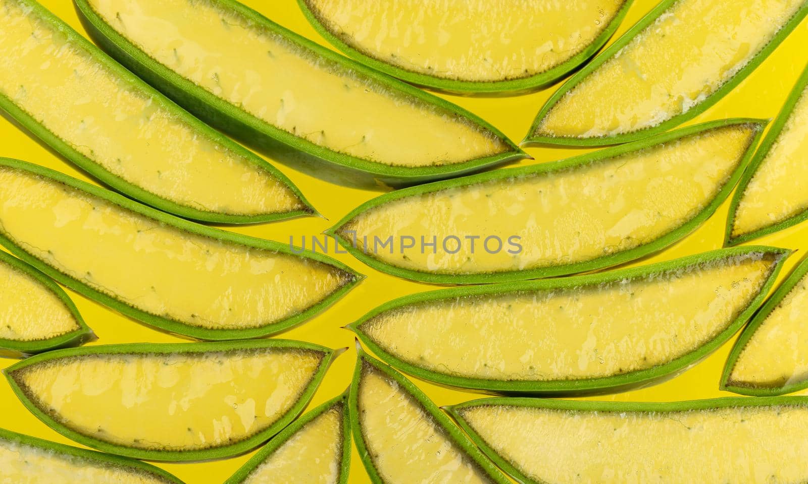 Close up background of fresh green Aloe Vera slices full of juicy gel on yellow, high angle view, directly above