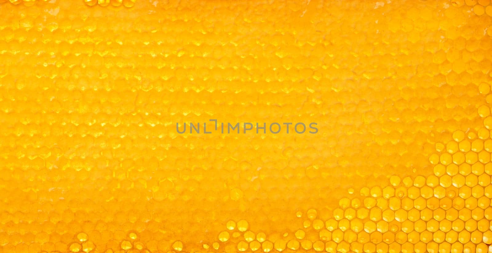 Fresh comb honey background texture by BreakingTheWalls