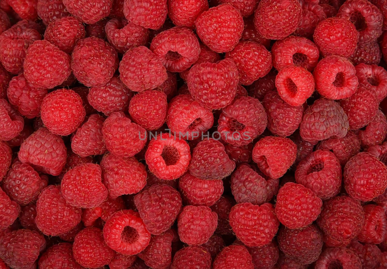 Close up background of fresh red ripe raspberry berries, elevated high angle view, directly above