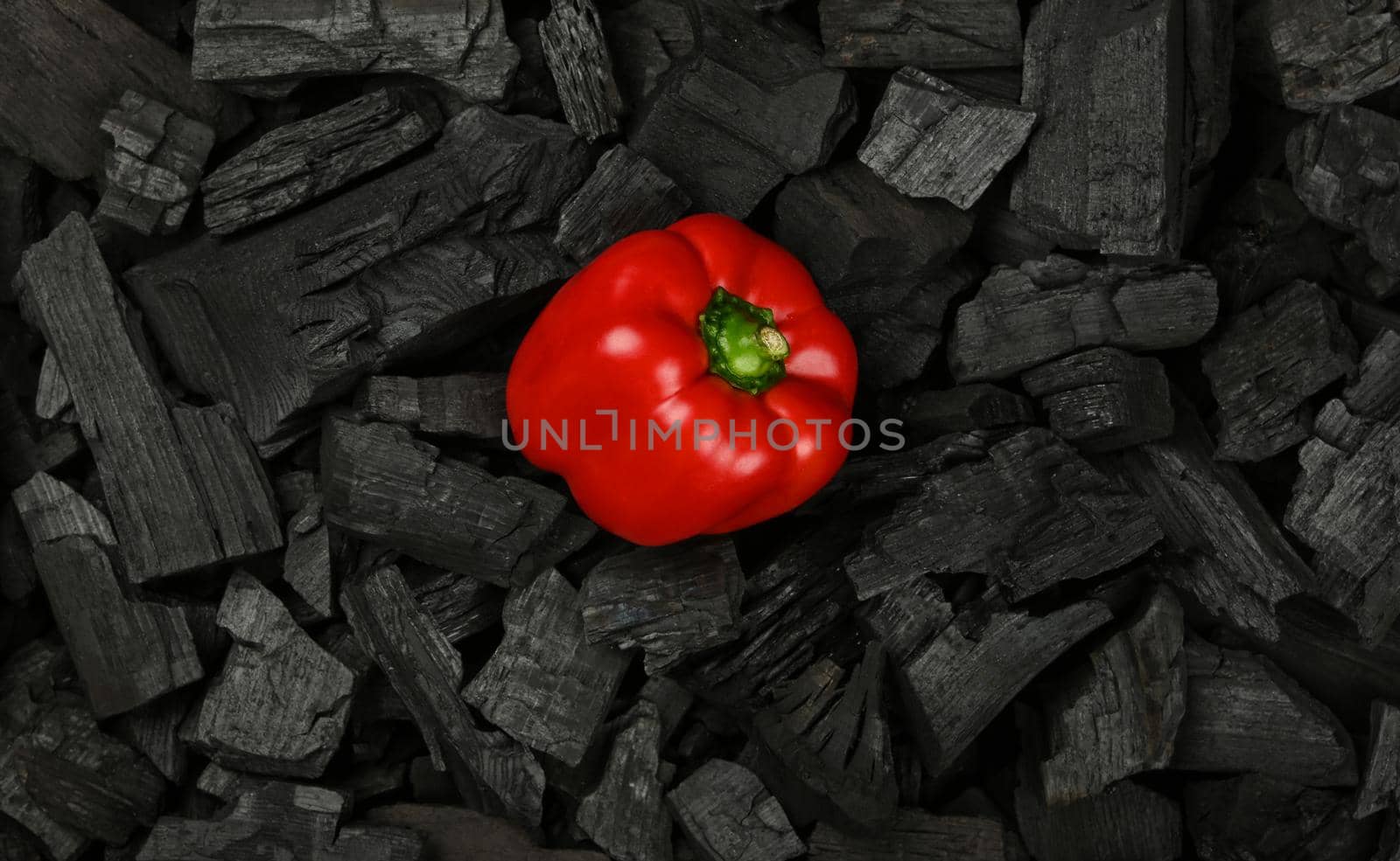 Close up raw red bell pepper on black lump charcoal pieces ready for barbecue grill cooking, elevated top view, directly above