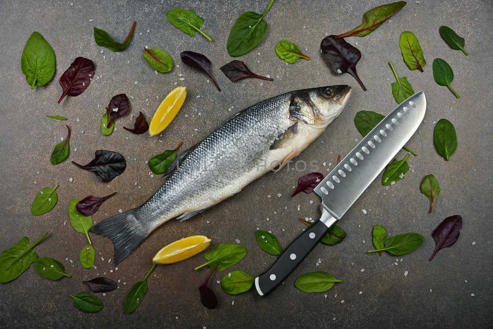 Raw European sea bass fish on table by BreakingTheWalls