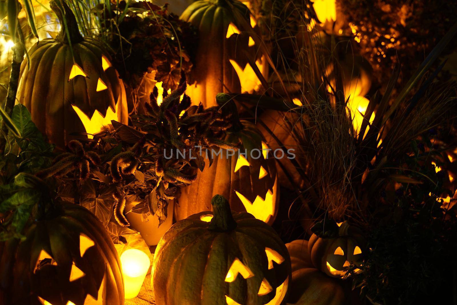 Halloween jack lantern image. Shooting Location: Yokohama-city kanagawa prefecture