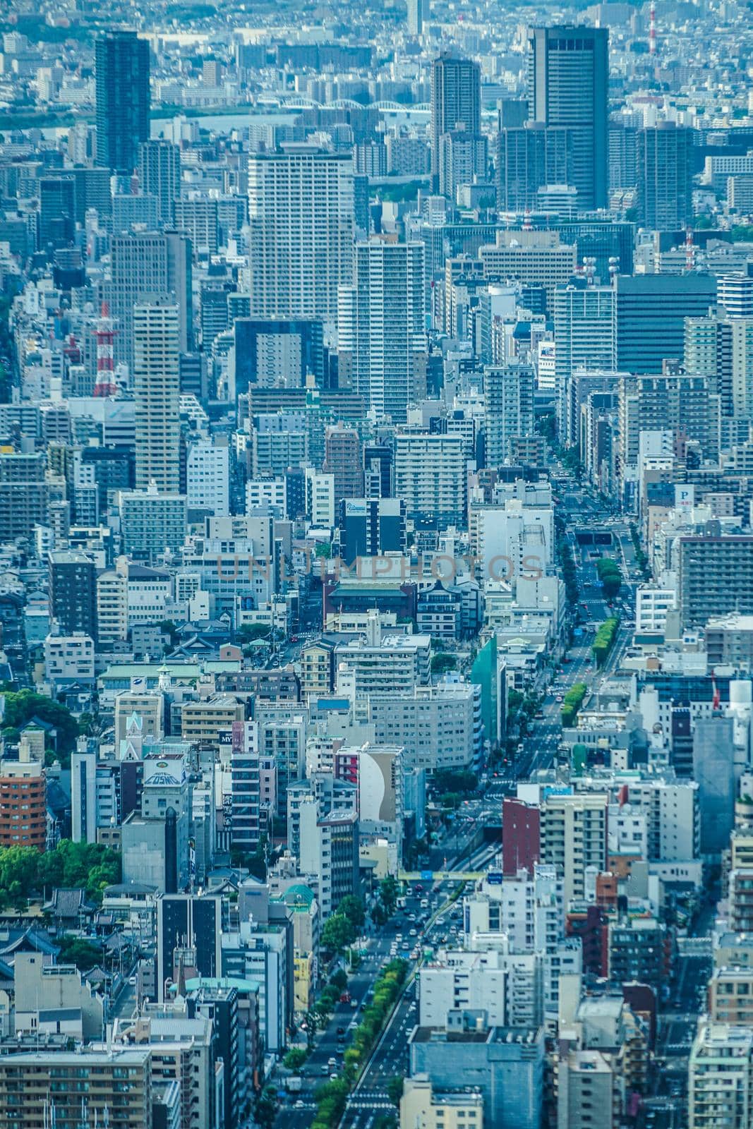 Osaka cityscape from Abeno Harukas. Shooting Location: Osaka Prefecture