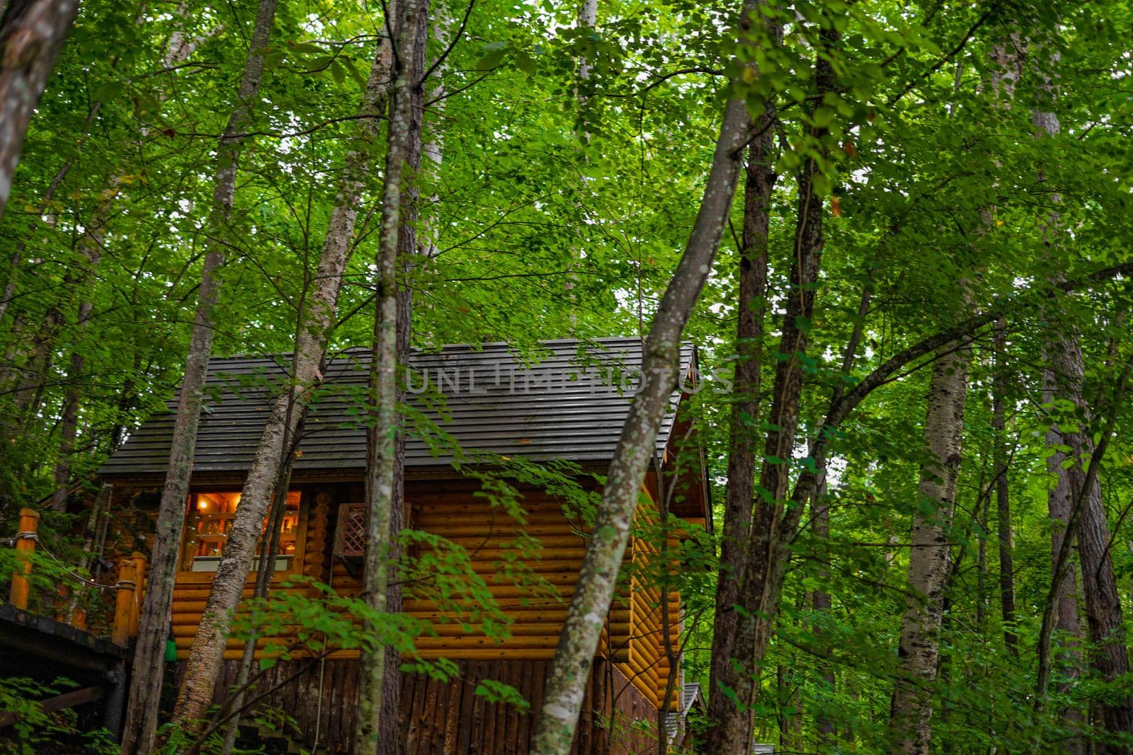 Image of Lodge standing in the forest. Shooting Location: Hokkaido Furano
