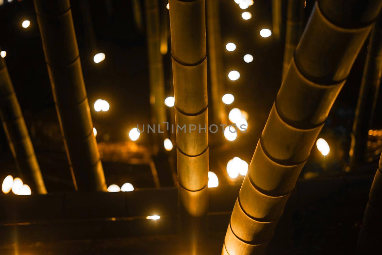 Bamboo Lights Up Light Up. Shooting Location: Yokohama-city kanagawa prefecture