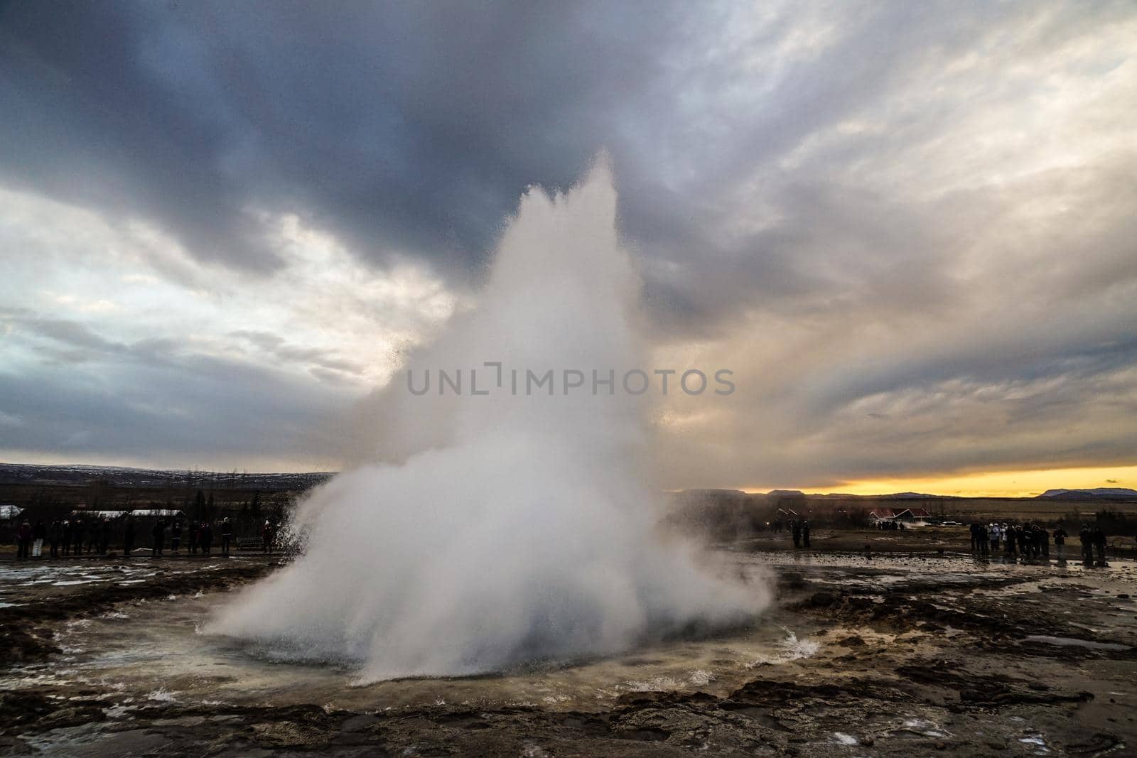 Gay seal sponsored and morning ray (Iceland). Shooting Location: Iceland, Lay Cavik