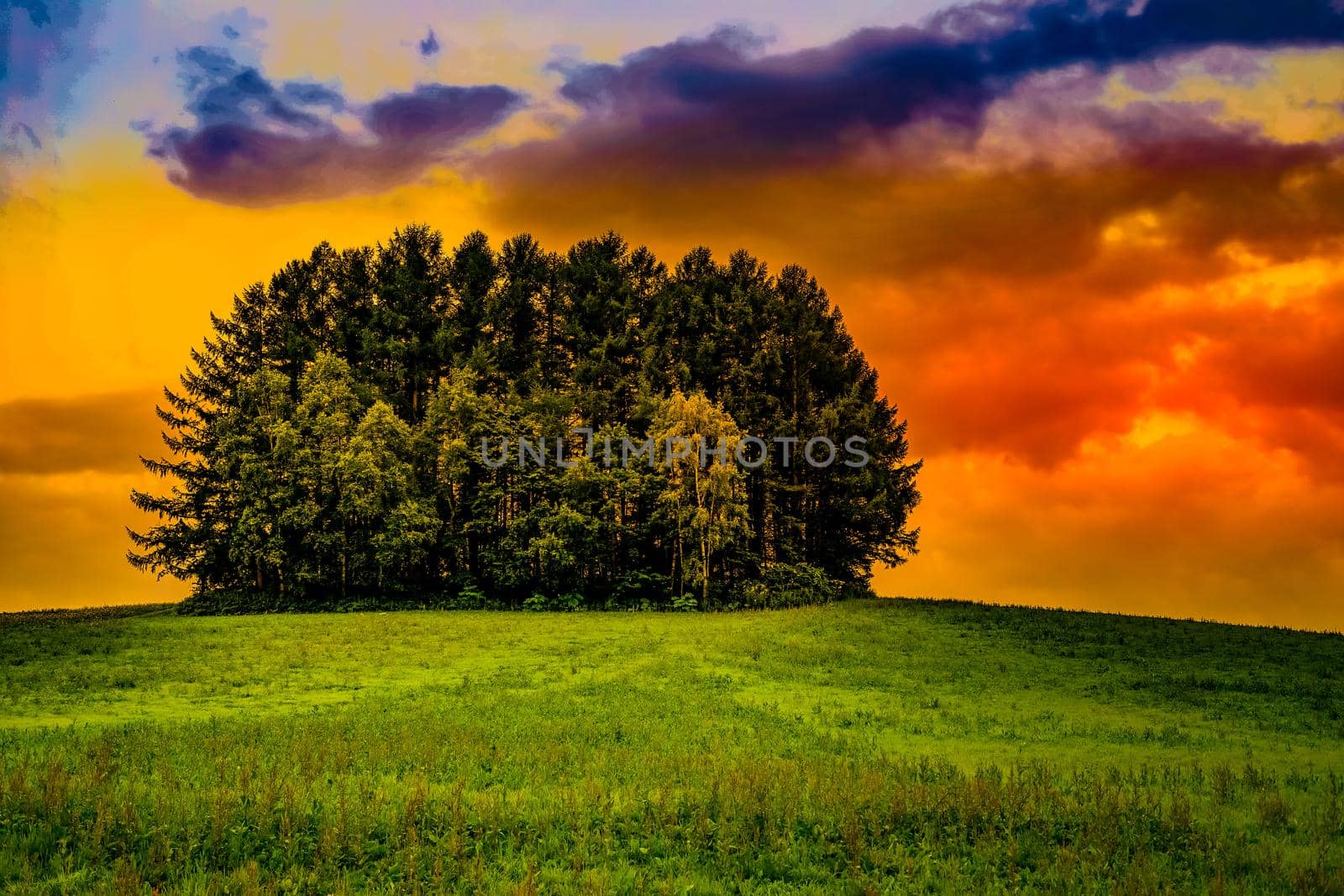 Mild Seven Hill (Hokkaido Biei-cho). Shooting Location: Hokkaido Biei-cho