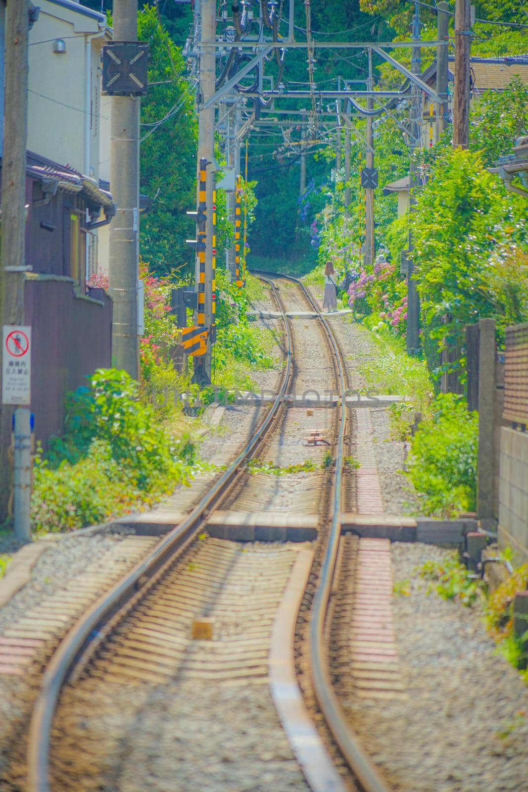 Jiango Island Electric Railway Line and Kamakura cityscape. Shooting Location: Kamakura City, Kanagawa Prefecture