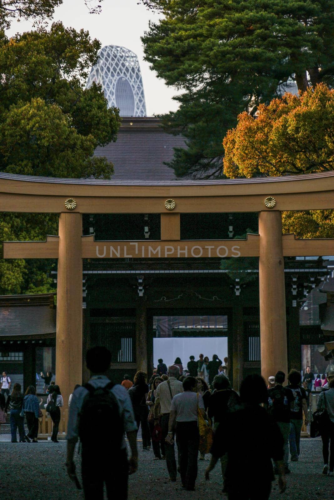 Image of Torii. Shooting Location: Tokyo metropolitan area
