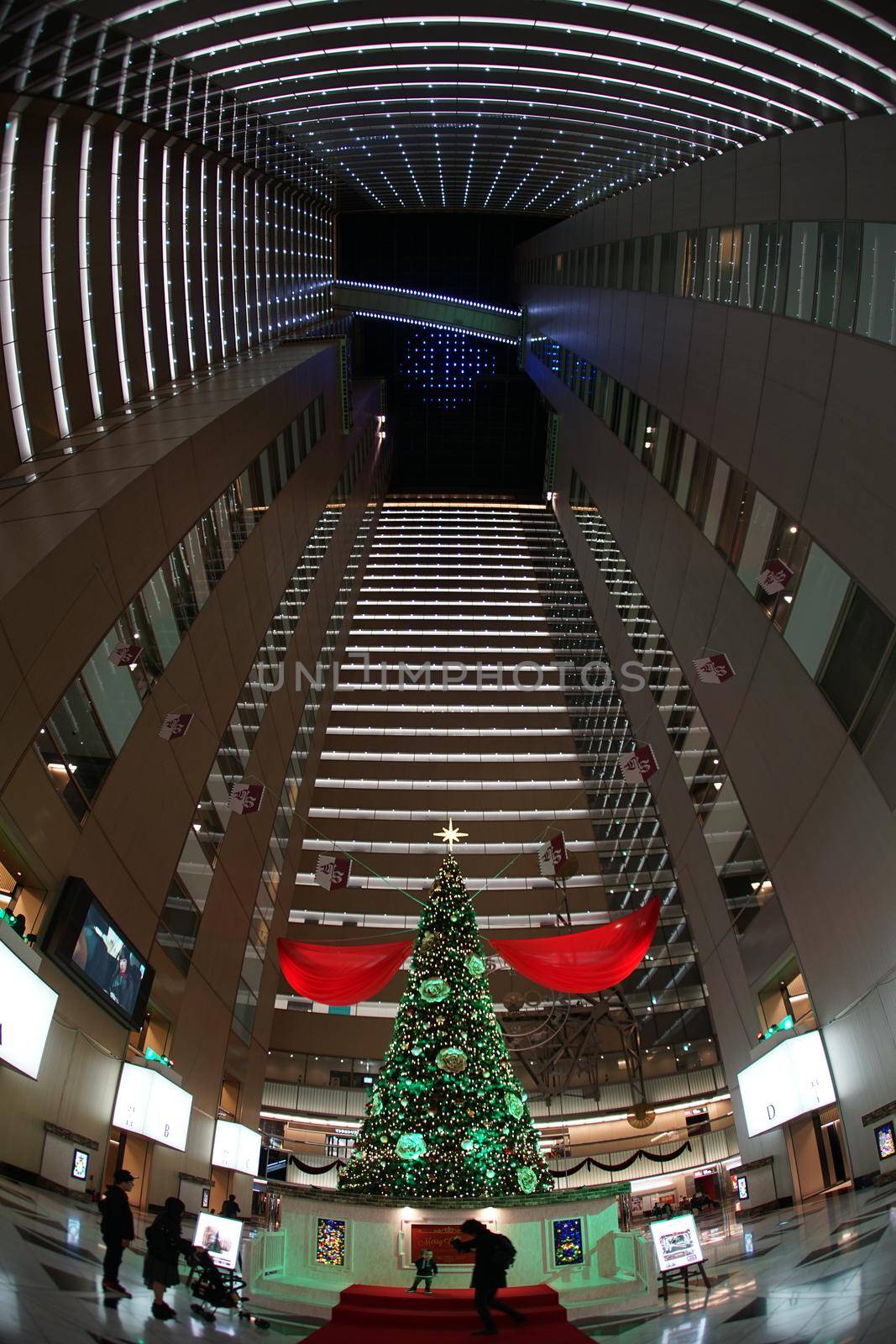 Image of christmas tree and skyscrapers. Shooting Location: Tokyo metropolitan area