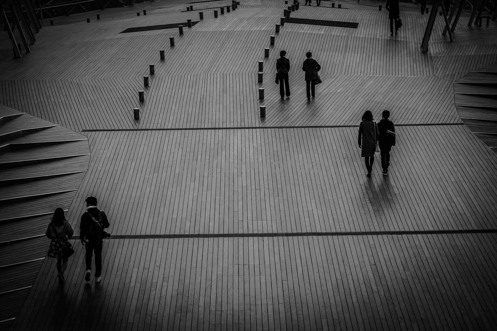 Landscape of Yokohama University Bridge (monochrome). Shooting Location: Yokohama-city kanagawa prefecture