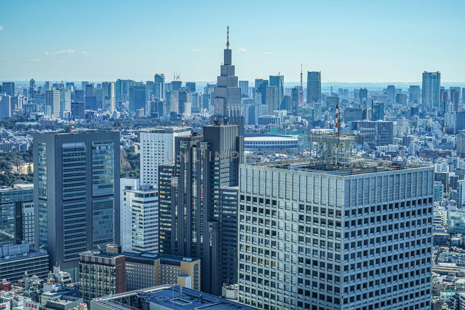 Tokyo cityscape seen from the Observatory of Tokyo Metropolitan Office. Shooting Location: Tokyo metropolitan area