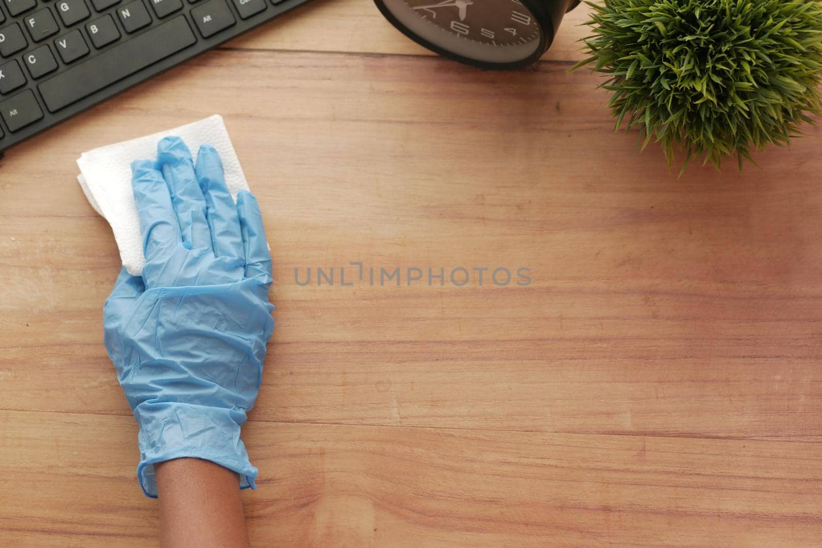hand in blue rubber gloves holding spray bottle .