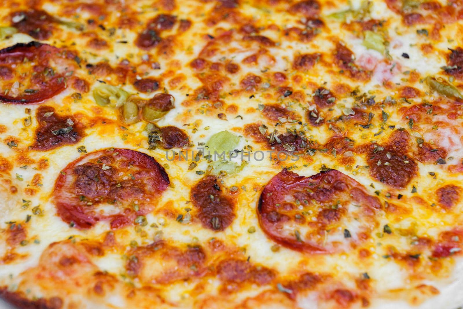 Close-up of pizza topped with salami, cheese and oregano. by apavlin